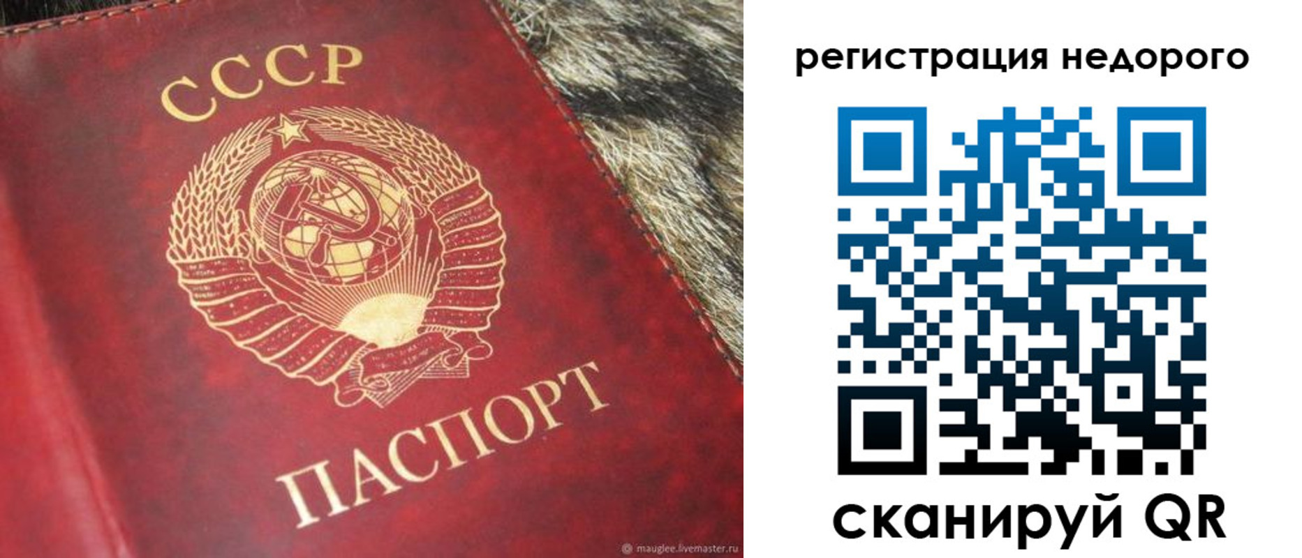 прописка ребенка в Карталах
